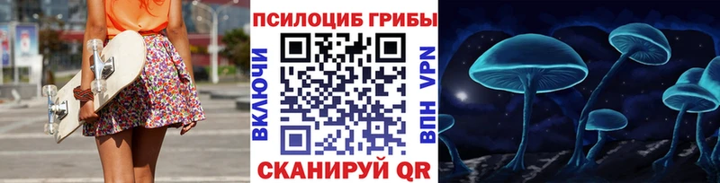дарк нет Telegram  Дербент  Галлюциногенные грибы Psilocybine cubensis 